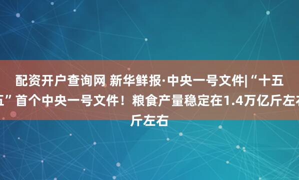 配资开户查询网 新华鲜报·中央一号文件|“十五五”首个中央一号文件！粮食产量稳定在1.4万亿斤左右