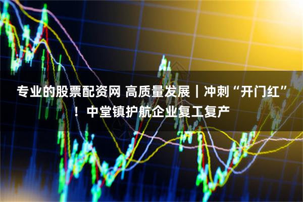 专业的股票配资网 高质量发展｜冲刺“开门红”！中堂镇护航企业复工复产